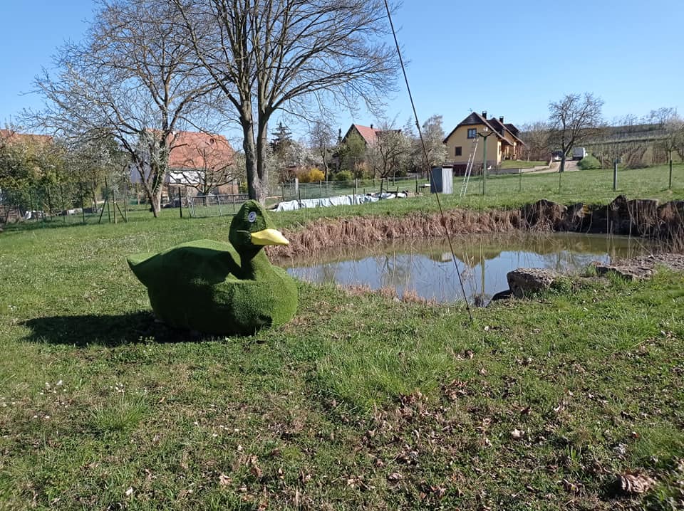 Parc à cigognes – Eguisheim [Photos]